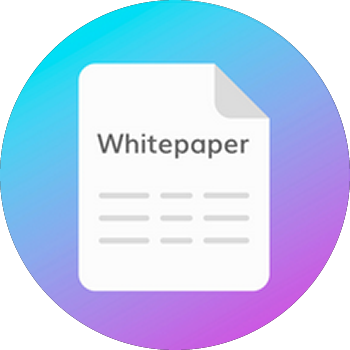 White Paper